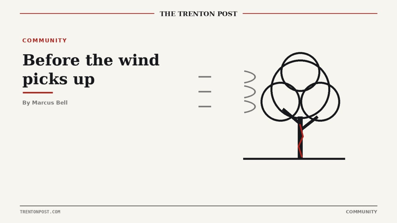 What Arborists Say Every Homeowner Should Check Before the Wind Picks Up