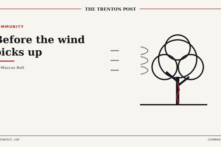 What Arborists Say Every Homeowner Should Check Before the Wind Picks Up
